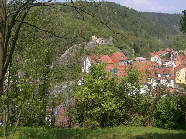 CIMG2667 [640x480]
